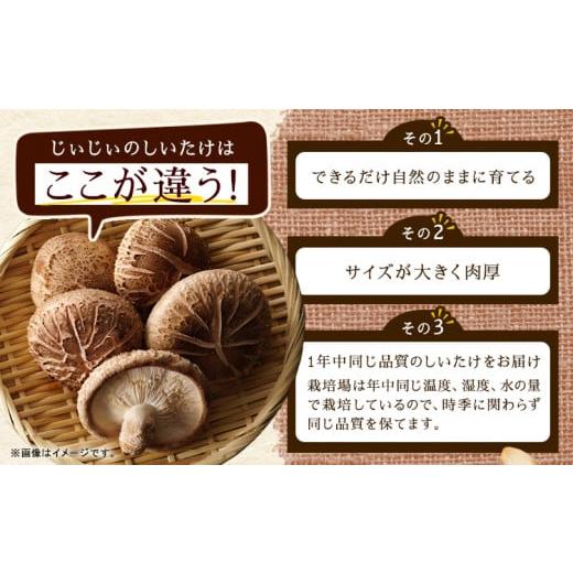 ふるさと納税 野菜類 きのこ 徳島県 美馬市 じぃじぃの乾燥しいたけ 50g×3パック 道の駅みまの里《30日以内に出荷予定(土日祝除く)》徳島県 美馬市 しいたけ …_3