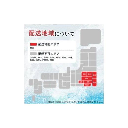 ふるさと納税 炭酸飲料 ソーダ水 山梨県 山梨市  毎月定期便 関東のみお届け 強炭酸水レモン500ml24本　計12 L　サーフVOLT　全12回 4055698_2