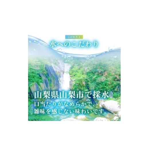 ふるさと納税 炭酸飲料 ソーダ水 山梨県 山梨市  毎月定期便 関東のみお届け 強炭酸水レモン500ml24本　計12 L　サーフVOLT　全12回 4055698_3