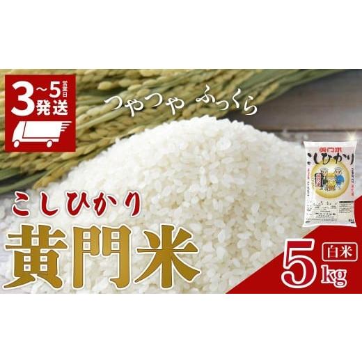 ふるさと納税 米 コシヒカリ 茨城県 常陸太田市 令和7年産 通常便 1回 黄門米 コシヒカリ 5kg 白米 | &lt;最短3日後発送&gt; コシヒカリ こしひかり 5kg 5キ…