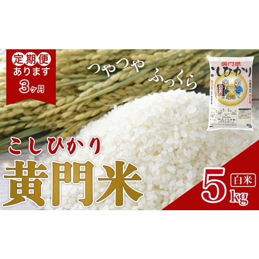 ふるさと納税 米 コシヒカリ 茨城県 常陸太田市 令和7年産 3ヶ月定期便 黄門米 コシヒカリ 白米 5kg | 茨城県産 常陸太田市 タツミ米穀 コシヒカリ こしひか…