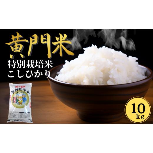 ふるさと納税 米 コシヒカリ 茨城県 常陸太田市 令和7年産 通常便 1回 黄門米 特別栽培米 コシヒカリ 10kg | コシヒカリ こしひかり 特別栽培農産物認証米 米…