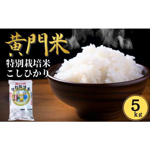 ふるさと納税 米 コシヒカリ 茨城県 常陸太田市 令和7年産 通常便 1回 黄門米 特別栽培米 コシヒカリ 白米5kg | コシヒカリ こしひかり 茨城県特別栽培農産…