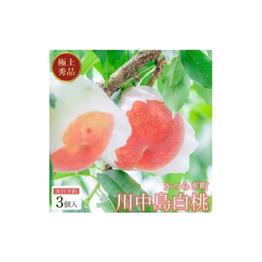 ふるさと納税 もも 和歌山県 印南町 ［秀品］川中島白桃 食べきりやすい3個入り［2026年7月末頃から順次発送］こだわり 農家厳選 先行予約 モモ［KG16］の画像