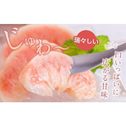 ふるさと納税 もも 和歌山県 印南町 ［秀品］川中島白桃 食べきりやすい3個入り［2026年7月末頃から順次発送］こだわり 農家厳選 先行予約 モモ［KG16］の画像