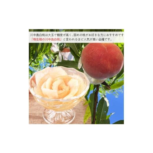 ふるさと納税 もも 和歌山県 印南町 ［秀品］川中島白桃 食べきりやすい3個入り［2026年7月末頃から順次発送］こだわり 農家厳選 先行予約 モモ［KG16］の画像