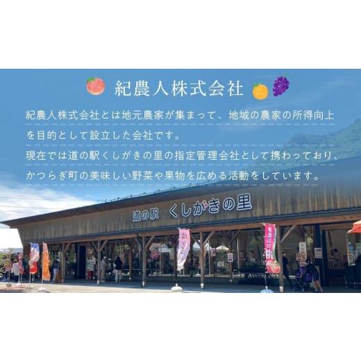 ふるさと納税 もも 和歌山県 印南町 ［秀品］川中島白桃 食べきりやすい3個入り［2026年7月末頃から順次発送］こだわり 農家厳選 先行予約 モモ［KG16］の画像