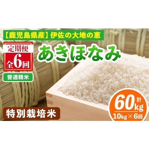 ふるさと納税 米 鹿児島県 伊佐市 isa616-A 定期便6回 普通精米 選べる精米方法 令和7年産 鹿児島県伊佐産 特別栽培あきほなみ(計60kg・10kg×6ヵ月) 国産 白…