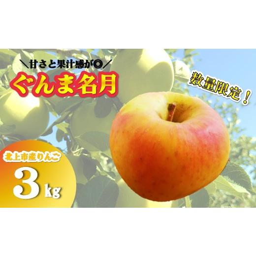 ふるさと納税 りんご 岩手県 北上市 北上市産 りんご ＼予約受付 10月下旬発送開始予定 / ぐんま名月 3キロ (約8〜12玉) 贈答用 / 数量限定 国産 林檎 リン…