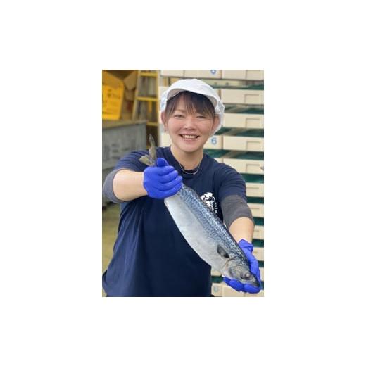 ふるさと納税 寿司 静岡県 焼津市 a12-210 特製さば寿司の画像