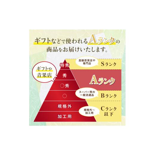 ふるさと納税 ぶどう マスカット 山形県 高畠町  期間限定発送 シャインマスカット Aランク 4〜6房 3.2kg 田制農園 山形県 高畠町 tk06ayt230003 ぶどう ブド…の画像