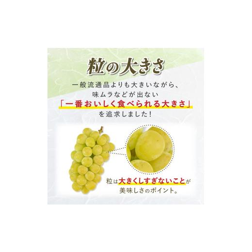 ふるさと納税 ぶどう マスカット 山形県 高畠町  期間限定発送 シャインマスカット Aランク 4〜6房 3.2kg 田制農園 山形県 高畠町 tk06ayt230003 ぶどう ブド…の画像