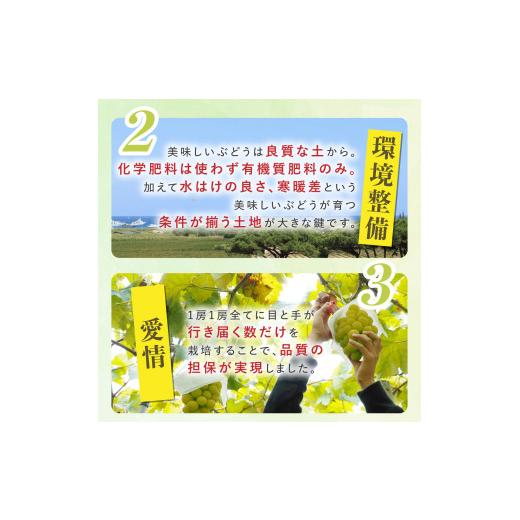 ふるさと納税 ぶどう マスカット 山形県 高畠町  期間限定発送 シャインマスカット Aランク 4〜6房 3.2kg 田制農園 山形県 高畠町 tk06ayt230003 ぶどう ブド…の画像