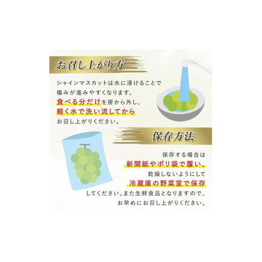 ふるさと納税 ぶどう マスカット 山形県 高畠町  期間限定発送 シャインマスカット Aランク 4〜6房 3.2kg 田制農園 山形県 高畠町 tk06ayt230003 ぶどう ブド…の画像