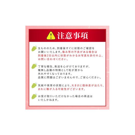 ふるさと納税 ぶどう マスカット 山形県 高畠町  期間限定発送 シャインマスカット Aランク 4〜6房 3.2kg 田制農園 山形県 高畠町 tk06ayt230003 ぶどう ブド…の画像