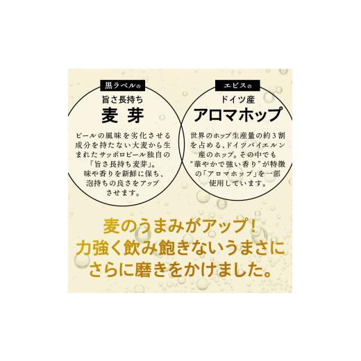 ふるさと納税 お酒 静岡県 焼津市 T0102-1702　 定期便2回 サッポロゴールドスター500ml缶×1箱（24本）