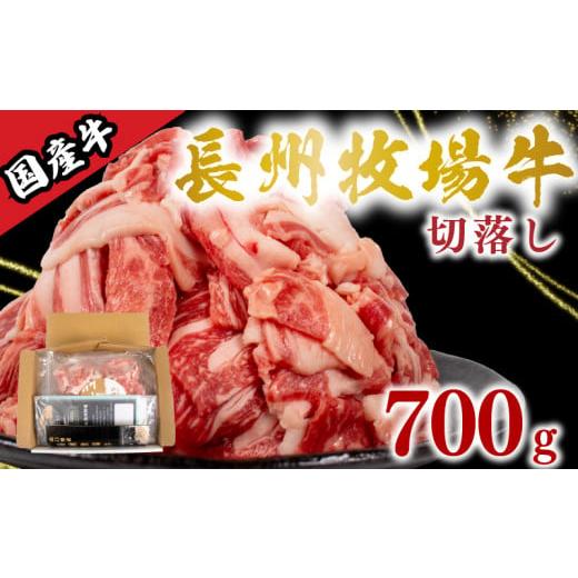 ふるさと納税 牛肉 山口県 下関市 国産牛 切落とし 700g 牛肉 牛 うし 切り落とし 冷凍 小分け 便利 パック 赤身 牛赤身 脂身 夕食 昼食 惣菜 おかず カレー …