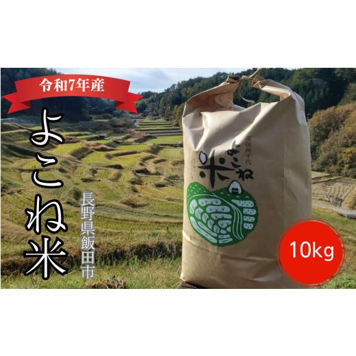 ふるさと納税 米 長野県 飯田市 よこね 米 コシヒカリ 精米 10kg | 米 お米 おこめ ご飯 ごはん コシヒカリ はざかけ 天日干し 長野県 飯田市