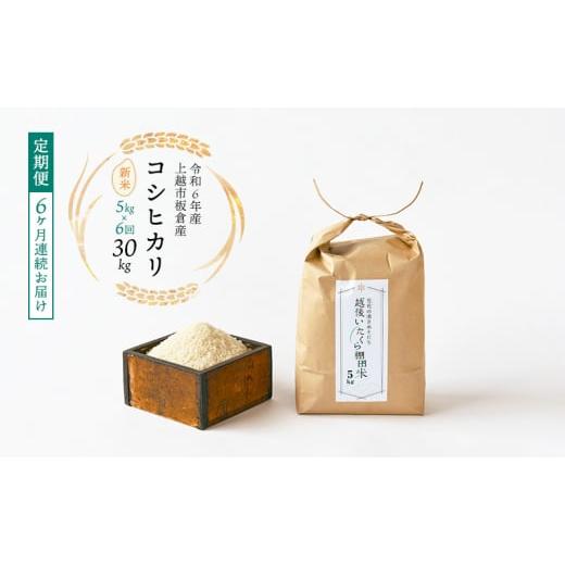 ふるさと納税 米 コシヒカリ 新潟県 上越市 令和7年産 棚田米 上越市板倉産 コシヒカリ 定期便 6ヶ月連続お届け 5kg×6回 30kg 新米 精米 新潟 米 新潟県 こ…