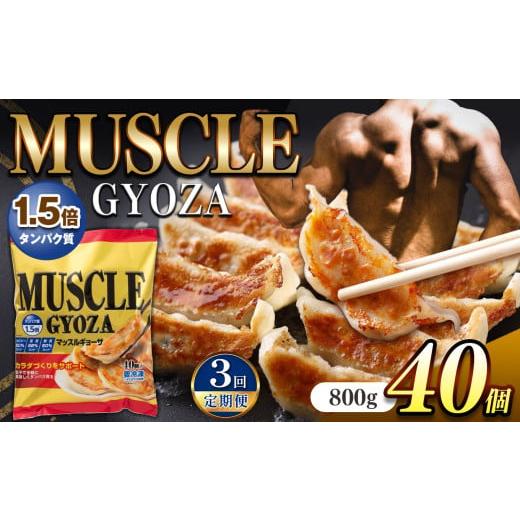 ふるさと納税 餃子 長野県 松本市 定期便3回 MUSCLE GYOZA ~マッスルギョーザ 〜冷凍餃子40個入り1袋 | 餃子 ギョーザ ダイエット マッスルギョーザ 長野県 …