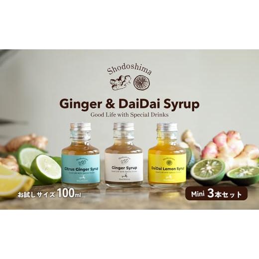 ふるさと納税 果汁飲料 やさい 香川県 土庄町 予約商品 小豆島 小豆島ジンジャー&amp;ダイダイレモンシロップ3本セット ミニ お試し 飲料 飲み物 ドリンク シ…