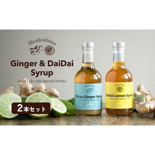 ふるさと納税 加工品等 香川県 土庄町 予約商品 小豆島 小豆島ジンジャー&amp;ダイダイレモンシロップ2本セット シロップ ジンジャー 飲料 ドリンク シロップ …