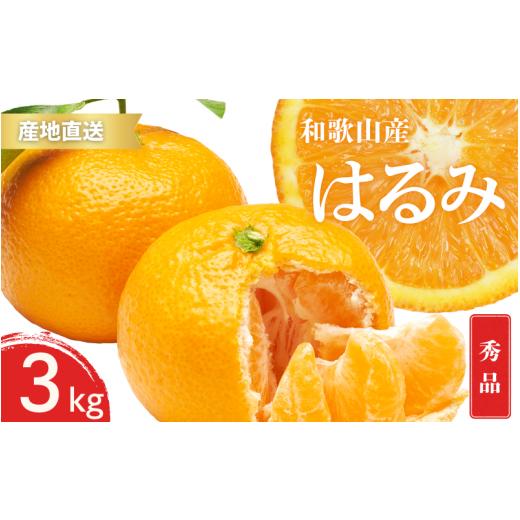 ふるさと納税 果物類 みかん 和歌山県 すさみ町 先行予約 秀品 はるみ 和歌山 有田 S〜2Lサイズ 大きさお任せ 3kg 1月下旬〜3月下旬までに順次発送予定 / み…