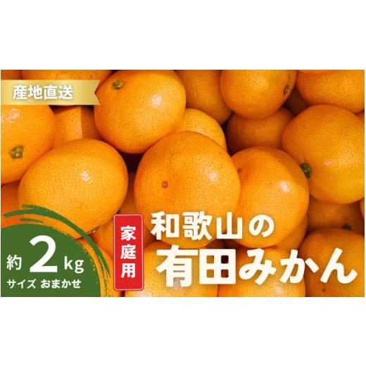 ふるさと納税 果物類 みかん 和歌山県 串本町 12月発送 訳あり ご家庭用 有田みかん 和歌山 S〜Lサイズ 大きさお任せ 2kg / みかん フルーツ 果物 くだもの …