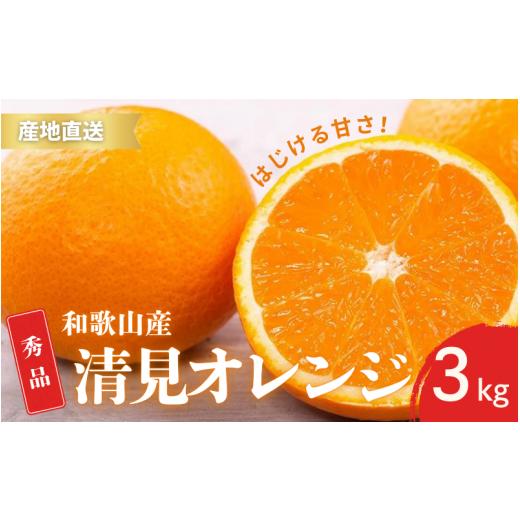 ふるさと納税 みかん・柑橘類 オレンジ 和歌山県 古座川町 先行予約 秀品 きよみ 清美オレンジ 和歌山 有田 S〜2Lサイズ 大きさお任せ 3kg 2月中旬〜3月下旬…