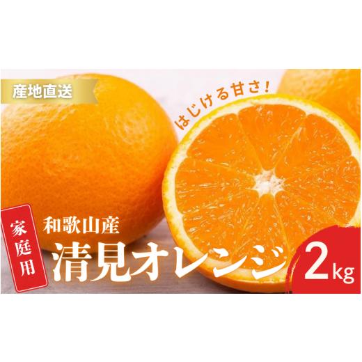 ふるさと納税 みかん・柑橘類 オレンジ 和歌山県 古座川町 先行予約 訳あり ご家庭用 きよみ 清見オレンジ 和歌山 有田 S〜2Lサイズ 大きさお任せ 2kg 2月中…