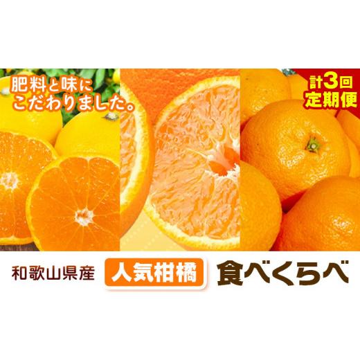 ふるさと納税 みかん・柑橘類 和歌山県 日高川町 人気柑橘食べくらべ定期便 全3回 計15kg どの坂果樹園[2026年10月中旬-3月上旬頃出荷] 和歌山県 日高川町 …