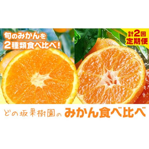 ふるさと納税 みかん・柑橘類 和歌山県 日高川町 どの坂果樹園の みかん 食べ比べ定期便 全2回 合計10kg ゆら早生 早生みかん[10月中旬-1月末頃出荷]和歌山…