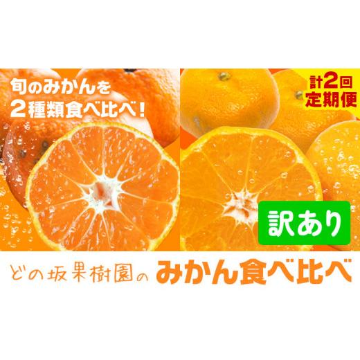 ふるさと納税 みかん・柑橘類 和歌山県 日高川町 どの坂果樹園の 訳ありみかん 食べ比べ定期便 全2回 合計10kg 訳ありゆら早生 訳あり早生みかん[10月中旬-1…