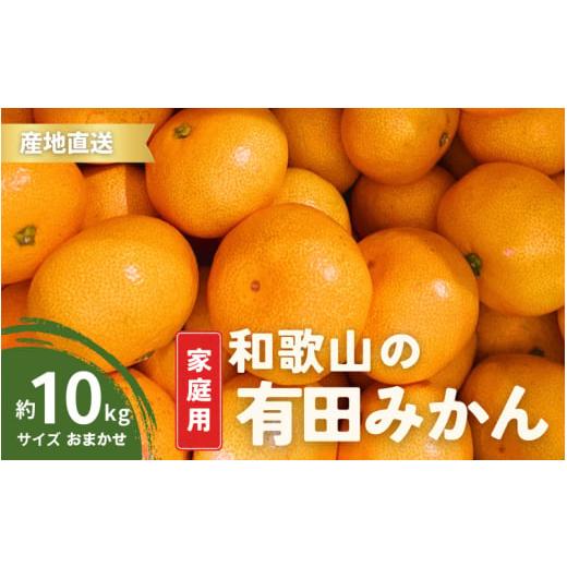 ふるさと納税 果物類 みかん 和歌山県 串本町 11月発送 訳あり 家庭用 有田みかん 和歌山 S〜Lサイズ 大きさお任せ 10kg / みかん フルーツ 果物 くだもの …