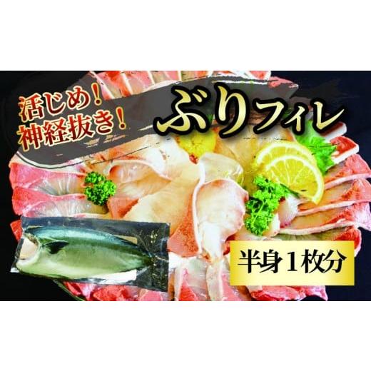 ふるさと納税 旬の鮮魚等 愛媛県 松山市 活じめ 神経抜き ぶりフィレ 半身1枚 | 鮮魚 刺身 お刺身 お刺し身 魚介 魚 海の幸 冷蔵 ブリ 鰤 ぶり 愛媛県 松山市 …