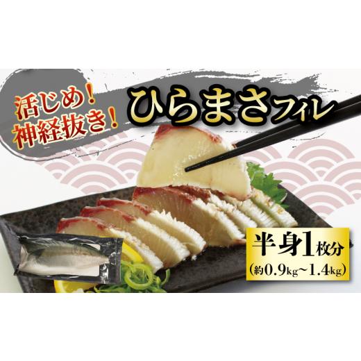 ふるさと納税 旬の鮮魚等 愛媛県 松山市 活じめ 神経抜き ひらまさフィレ半身1枚 (約0.9〜1.3kg) | 鮮魚 刺身 お刺身 お刺し身 魚介 海の幸 冷蔵 ひらまさ ヒ…