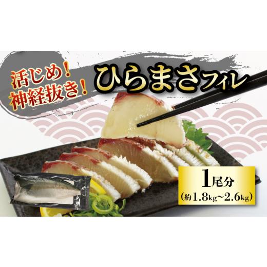 ふるさと納税 旬の鮮魚等 愛媛県 松山市 活じめ 神経抜き ひらまさフィレ1尾分(約1.8〜2.6kg) | 鮮魚 刺身 お刺身 お刺し身 魚介 海の幸 冷蔵 ひらまさ ヒラ…