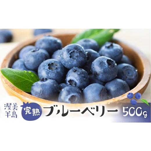 ふるさと納税 果物類 愛知県 田原市 先行予約 2026年4月~6月お届け 渥美半島 完熟ブルーベリー 500g 4〜6月お届け