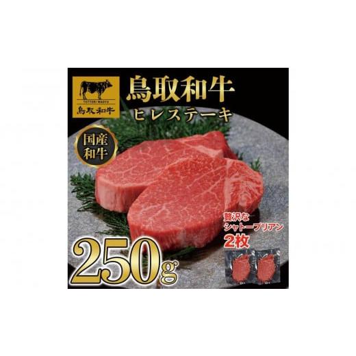 ふるさと納税 牛肉 ヒレ 鳥取県 三朝町 鳥取和牛ヒレステーキ 2枚(250g)364|鳥取和牛 肉 お肉 にく ステーキ 食品 鳥取県産 人気 おすすめ 送料無料 ギフ…