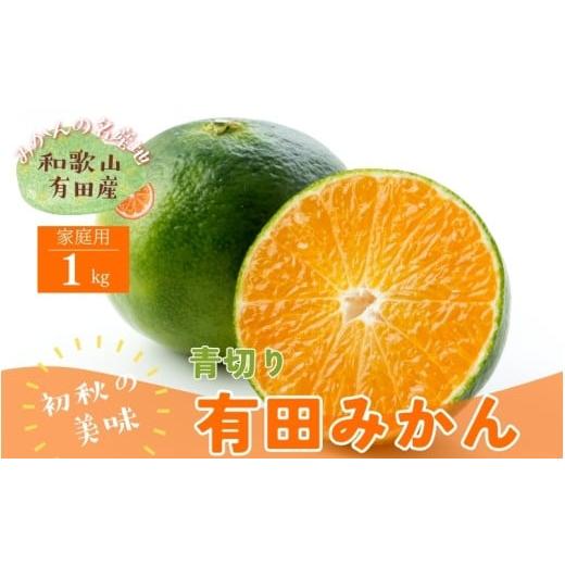 ふるさと納税 果物類 みかん 和歌山県 紀美野町 先行予約 有田育ちのご家庭用青切り有田みかん 約1kg+200g(傷み補償分) 着日指定不可 沖縄・離島は配送不可 …