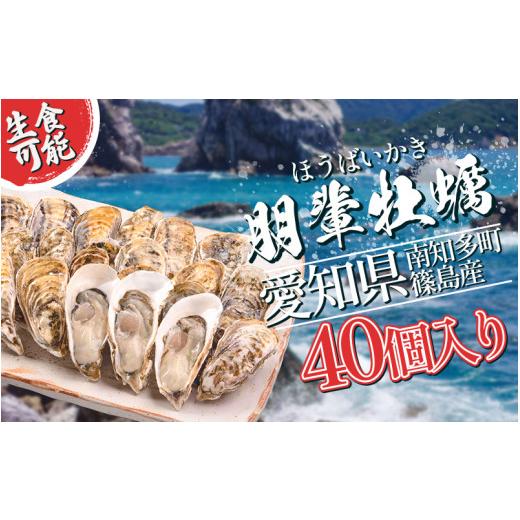 ふるさと納税 牡蠣 生牡蠣 愛知県 南知多町 選べる 牡蠣 かき 生食用 冷蔵 40個 朋輩牡蠣 篠島 かき 牡蠣 朋輩牡蠣 貝 かい オイスター 篠島 かき 牡蠣 朋輩牡…_1
