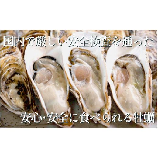 ふるさと納税 牡蠣 生牡蠣 愛知県 南知多町 選べる 牡蠣 かき 生食用 冷蔵 40個 朋輩牡蠣 篠島 かき 牡蠣 朋輩牡蠣 貝 かい オイスター 篠島 かき 牡蠣 朋輩牡…_2