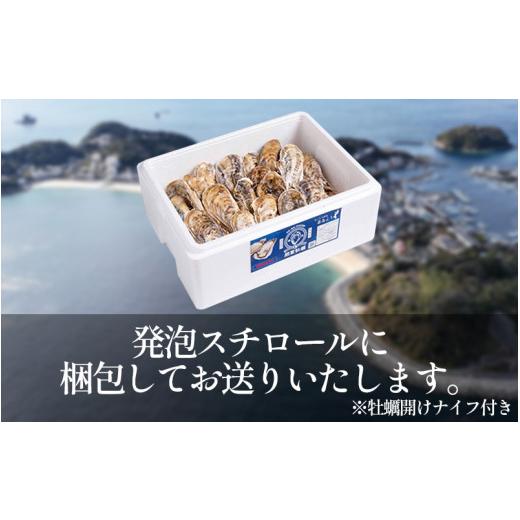 ふるさと納税 牡蠣 生牡蠣 愛知県 南知多町 選べる 牡蠣 かき 生食用 冷蔵 40個 朋輩牡蠣 篠島 かき 牡蠣 朋輩牡蠣 貝 かい オイスター 篠島 かき 牡蠣 朋輩牡…_4