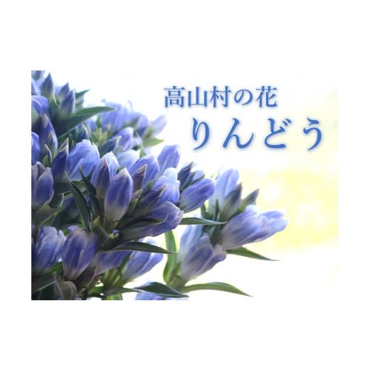 ふるさと納税 雑貨・日用品 花 群馬県 高山村 高山村の花 りんどう 20本