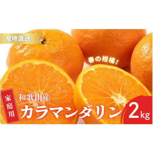 ふるさと納税 果物類 みかん 和歌山県 串本町 先行予約 訳あり 家庭用 カラマンダリン なつみ 春のみかん 和歌山 有田 S〜2Lサイズ 大きさお任せ 2kg 4月上旬…