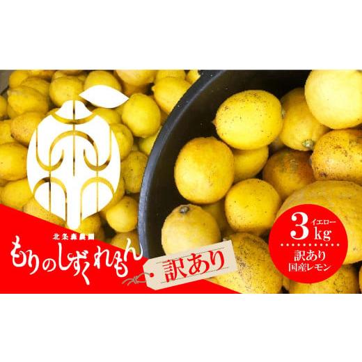 ふるさと納税 みかん・柑橘類 愛媛県 松山市 訳あり 数量限定 もりのしずくれもん イエローレモン 3kg 国産 レモン 先行予約 レモン れもん 檸檬 レモン果汁 …