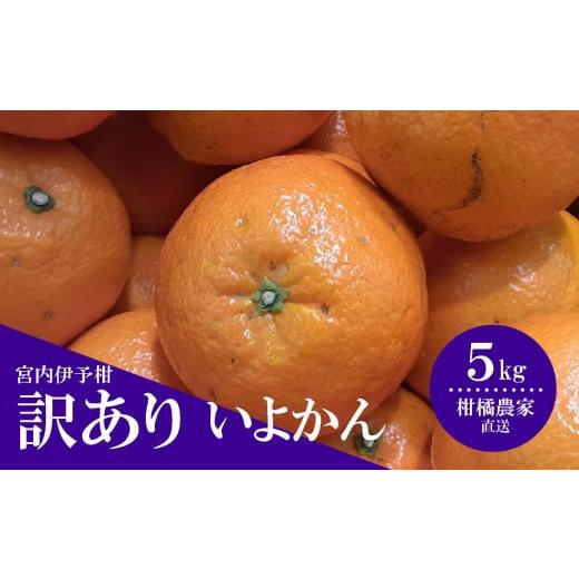 ふるさと納税 みかん・柑橘類 愛媛県 松山市 先行予約 訳あり 数量限定 伊予柑 5kg みかん 不揃い いよかん 家庭用 柑橘 愛媛 松山 北条 果物 フルーツ 産地…