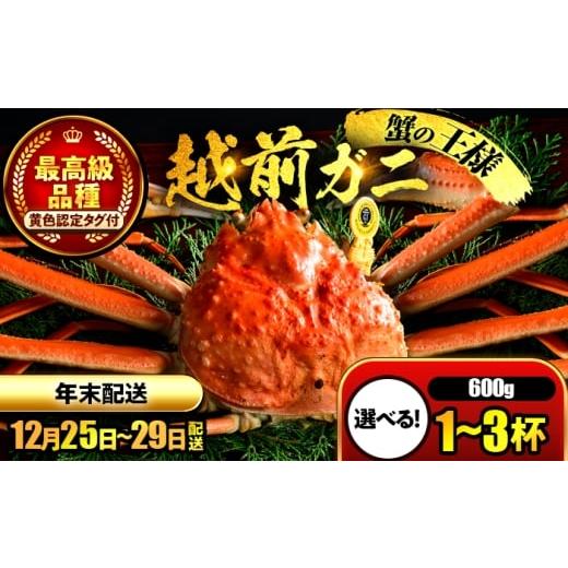 ふるさと納税 カニ ずわいガニ 福井県 小浜市 年内配送 先行予約/12月25日より順次発送 年末希望 越前がに 600g×1杯 ズワイガニ ずわいがに ボイル 冷蔵 …