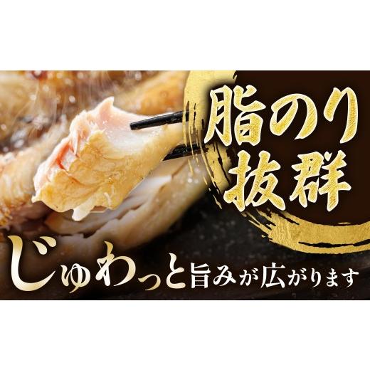 ふるさと納税 干物 ホッケ 北海道 釧路町  定期便 4ヶ月 北海道産ほっけ一夜干し（400g以上）×3枚 釧路町の匠が贈る 北の至宝 ホッケ 干物 焼魚 焼き魚 卵白…