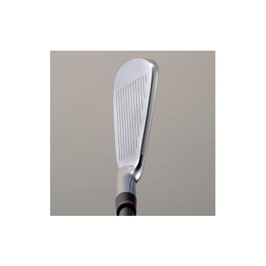 ふるさと納税 ゴルフグッズ クラブ 茨城県 古河市 ゴルフクラブ 単品 Reloaded Neo iron SILVER #5 ノーマルスコアライン LONGBOW NEO カーボンシャフト装着モ…_4